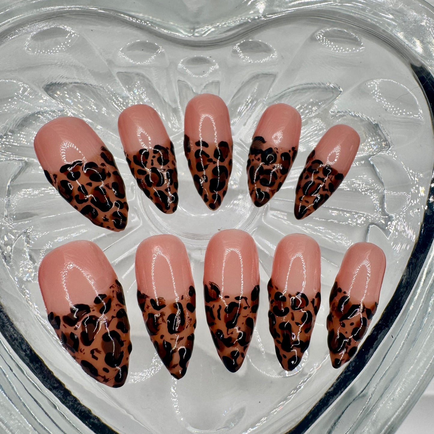 Cashmere Cheetah