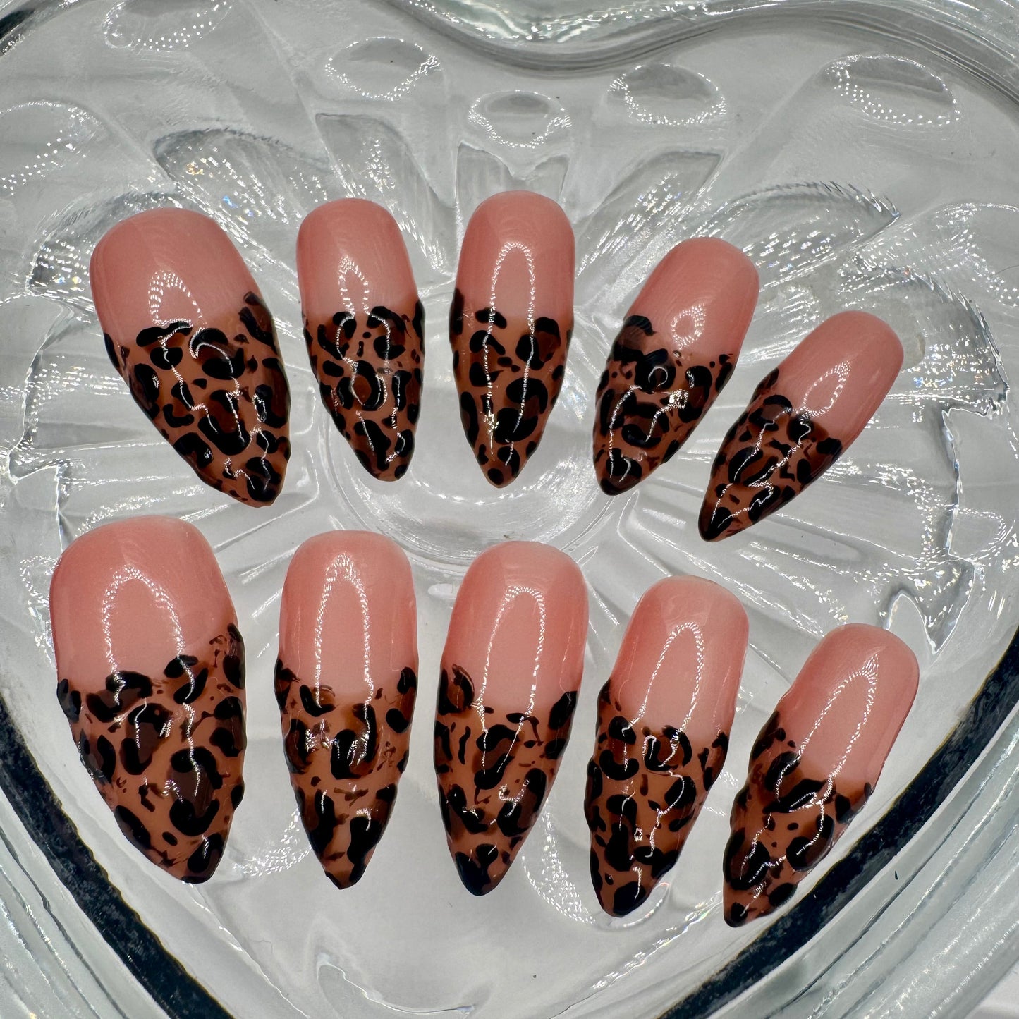 Cashmere Cheetah