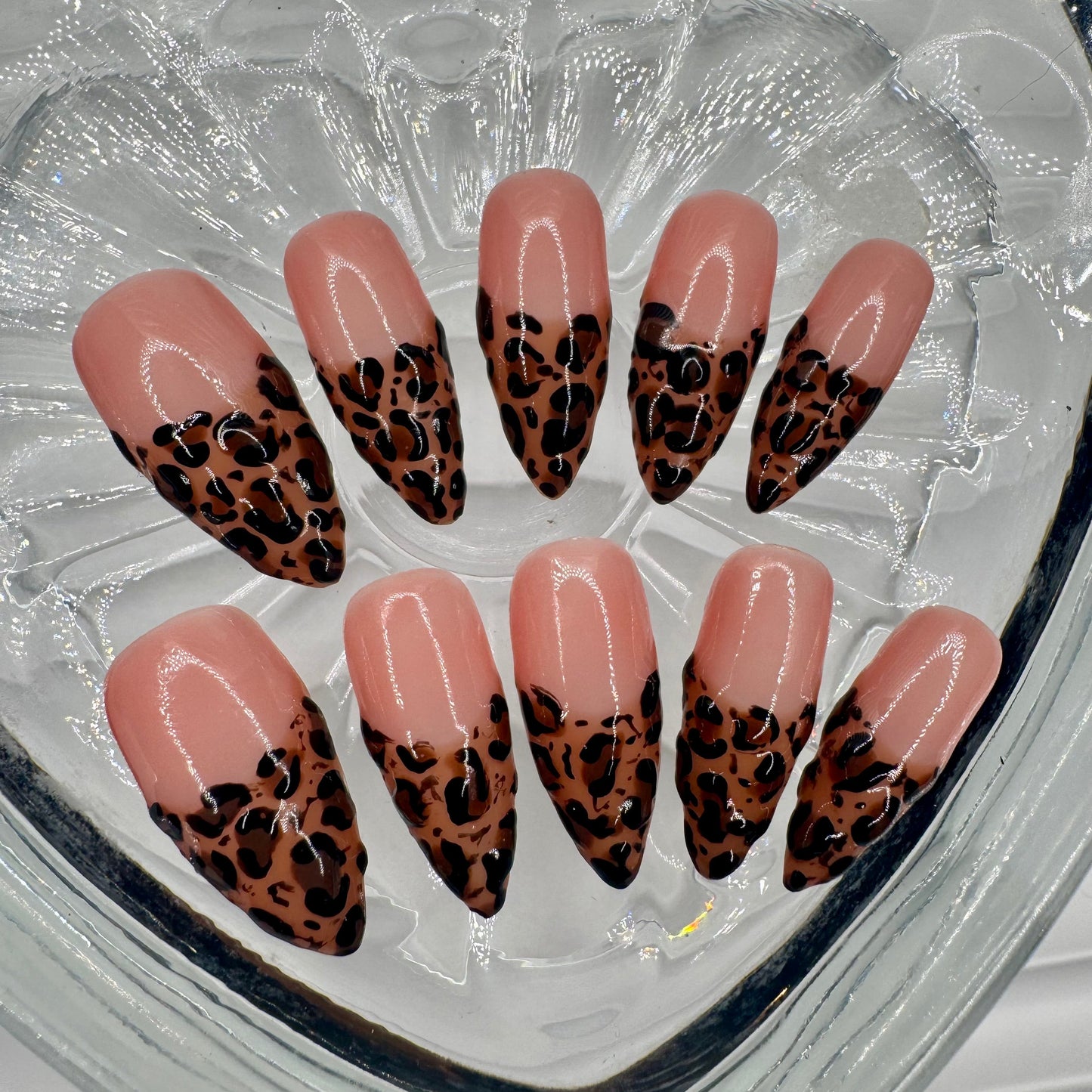 Cashmere Cheetah